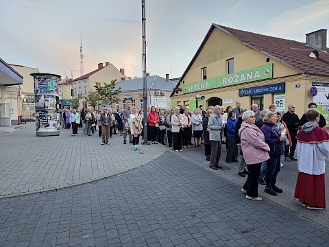 Zdjęcie 8 z 39