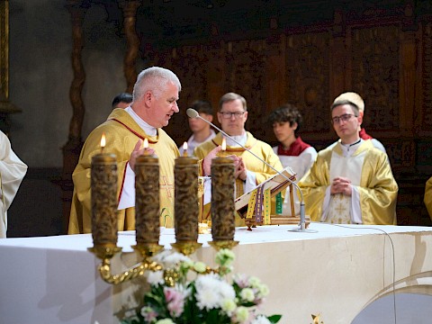 Zdjęcie 12 z 15