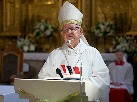 Zdjęcie 5 z 8