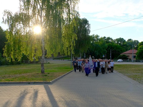 Zdjęcie 8 z 14