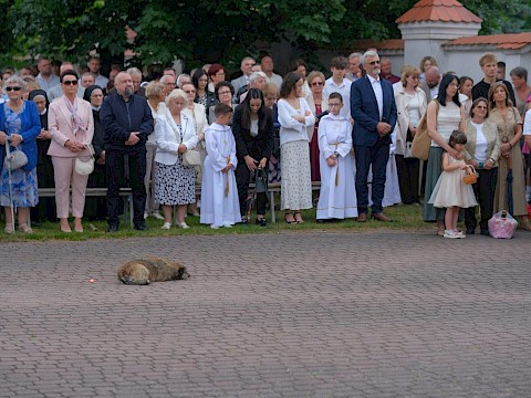 Zdjęcie 16 z 90