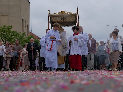 Zdjęcie 55 z 90