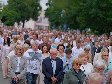Zdjęcie 64 z 90