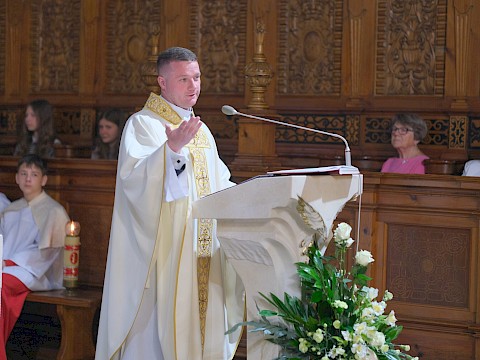 Zdjęcie 1 z 31
