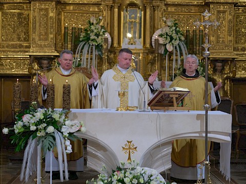 Zdjęcie 12 z 31