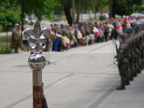 Zdjęcie 18 z 28