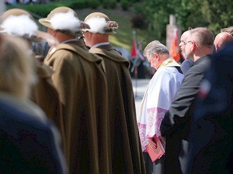 Zdjęcie 27 z 28