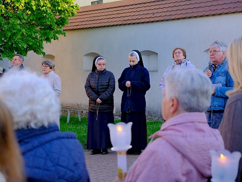 Zdjęcie 6 z 14
