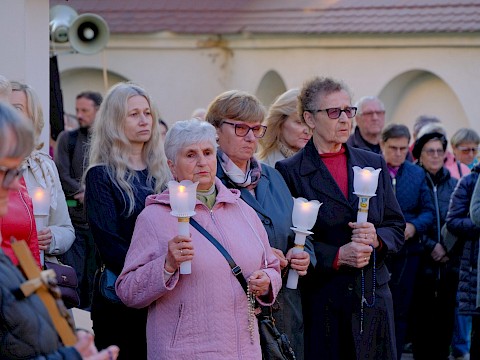 Zdjęcie 7 z 14