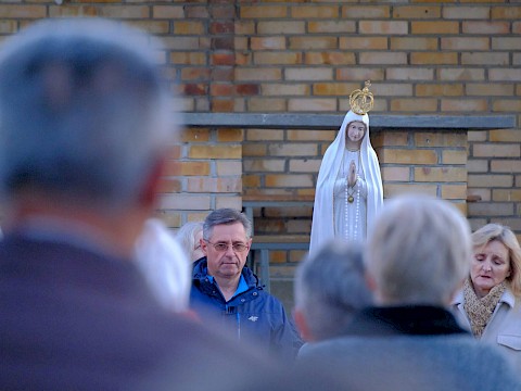 Zdjęcie 10 z 14