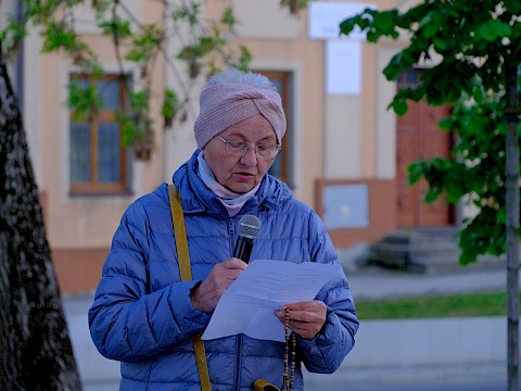 Zdjęcie 11 z 14