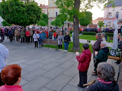 Zdjęcie 12 z 14