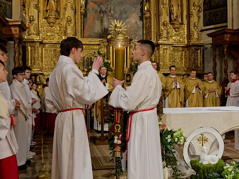 Zdjęcie 41 z 57