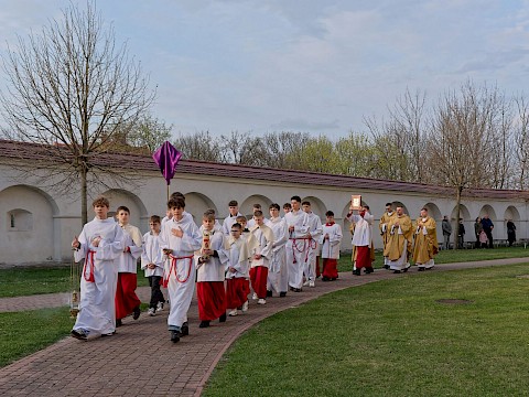Zdjęcie 1 z 24