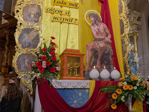Zdjęcie 22 z 24