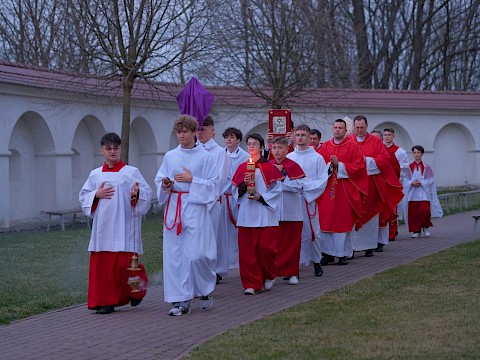 Zdjęcie 5 z 37