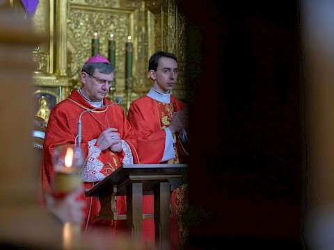 Zdjęcie 8 z 37