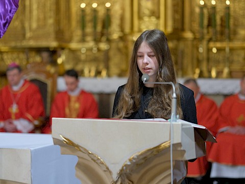 Zdjęcie 11 z 37