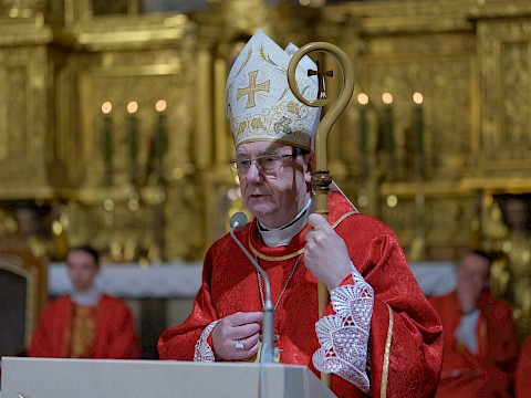 Zdjęcie 17 z 37