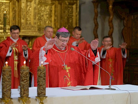 Zdjęcie 20 z 37