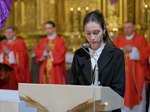 Zdjęcie 26 z 37