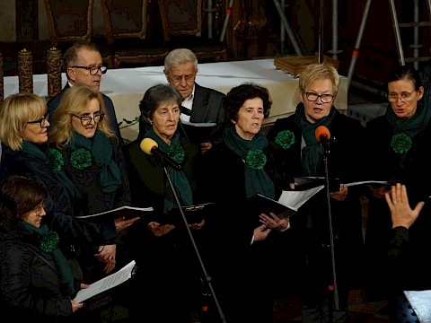 Zdjęcie 10 z 10