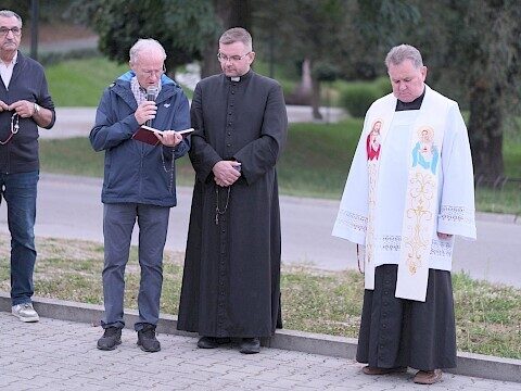 Zdjęcie 10 z 10