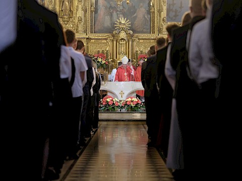 Zdjęcie 11 z 107