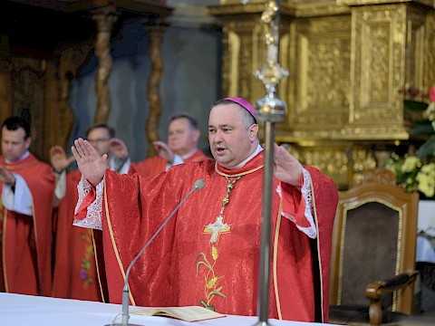 Zdjęcie 12 z 107