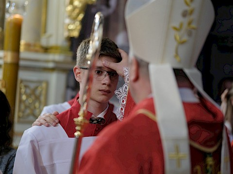 Zdjęcie 15 z 107