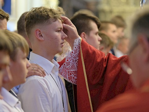 Zdjęcie 31 z 107