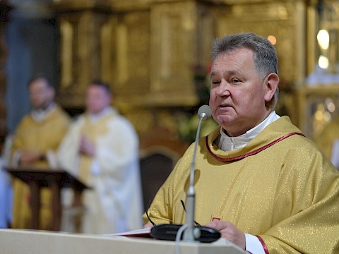 Zdjęcie 5 z 34