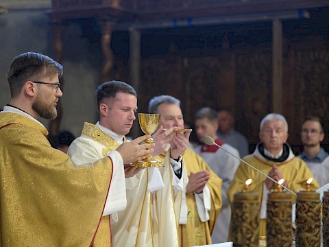 Zdjęcie 19 z 34
