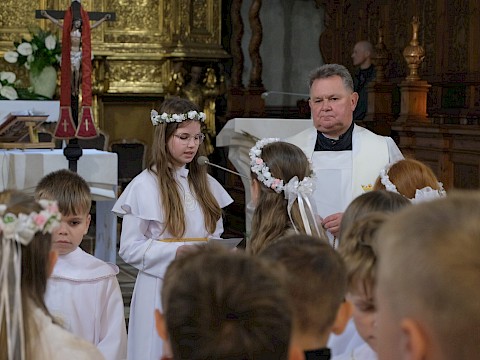 Zdjęcie 2 z 35