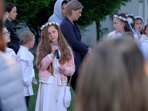 Zdjęcie 13 z 35