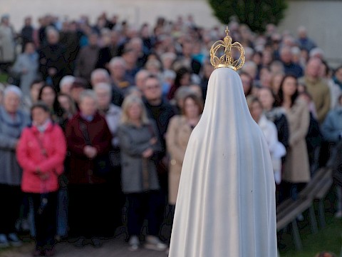 Zdjęcie 20 z 35