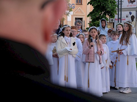 Zdjęcie 31 z 34