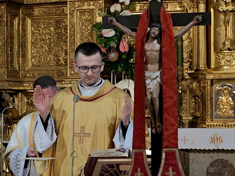 Zdjęcie 6 z 8