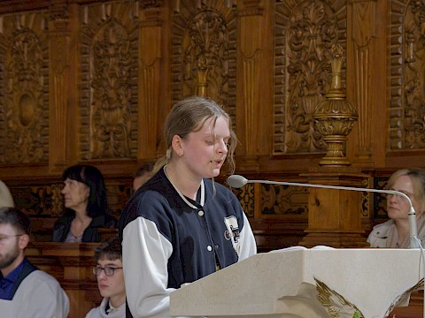 Zdjęcie 6 z 27