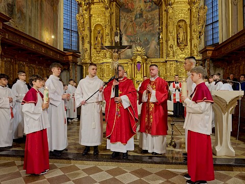 Zdjęcie 12 z 19
