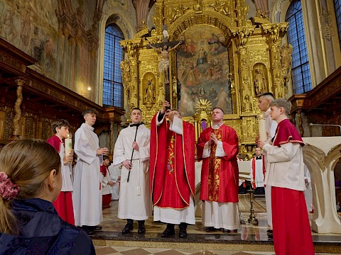 Zdjęcie 13 z 19