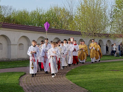 Zdjęcie 2 z 17