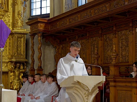 Zdjęcie 5 z 17