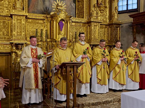 Zdjęcie 15 z 17