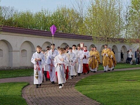 Zdjęcie 5 z 16