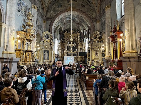 Zdjęcie 2 z 12
