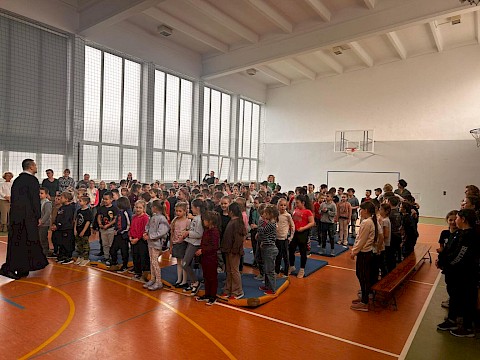 Zdjęcie 12 z 12