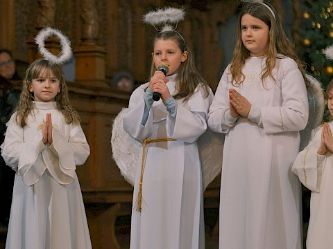 Zdjęcie 15 z 40