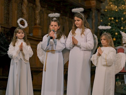 Zdjęcie 14 z 39
