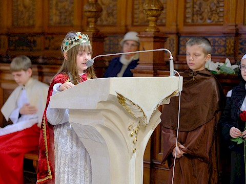 Zdjęcie 12 z 36